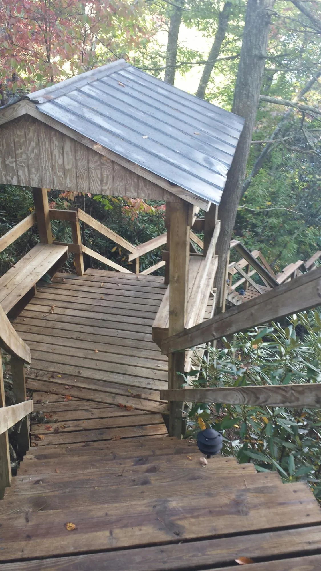 Metal roofed shelter over wooden steps on a wooded walkway — Skylight Repair & Installation work by our crew in Arcadia